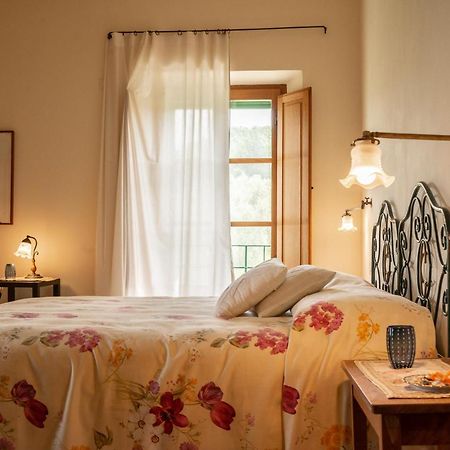Agriturismo Casa Montecucco 준카리코 외부 사진