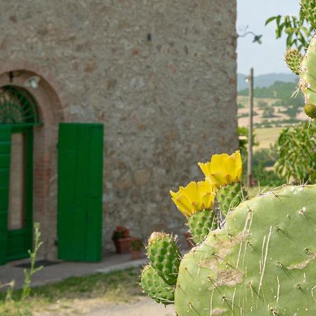 Agriturismo Casa Montecucco 준카리코 외부 사진
