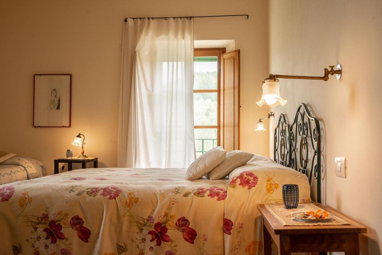 Agriturismo Casa Montecucco 준카리코 외부 사진